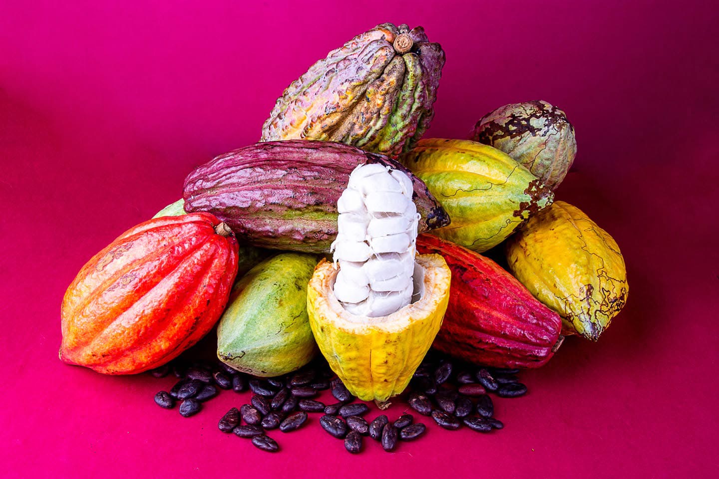 Cacao
